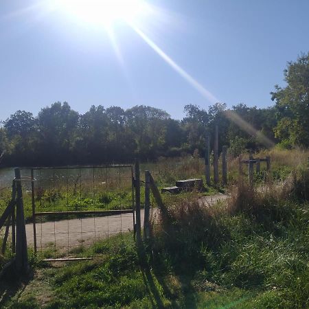 Gite La Pironniere - Piscine, Nature, Au Bord De La Riviere Montreuil-sur-Maine Екстериор снимка