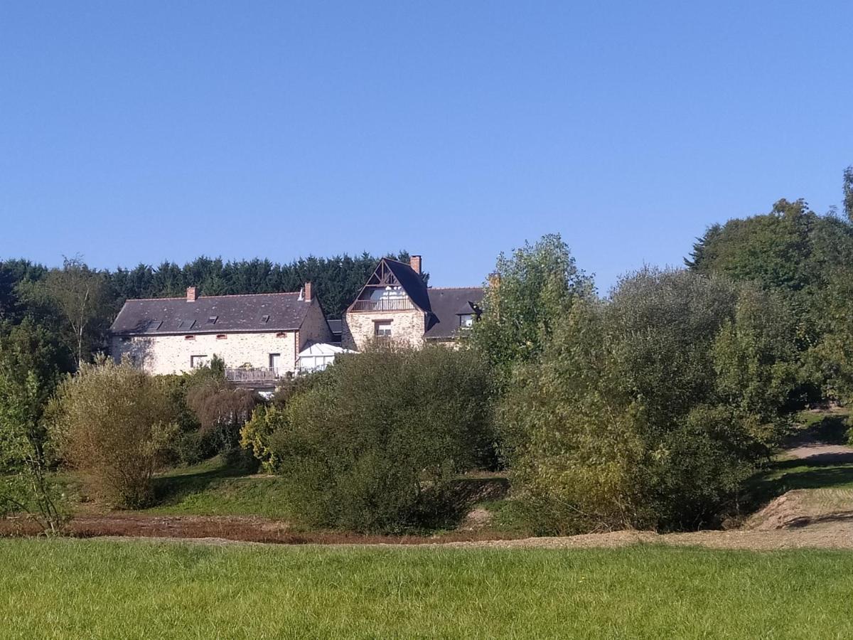 Gite La Pironniere - Piscine, Nature, Au Bord De La Riviere Montreuil-sur-Maine Екстериор снимка