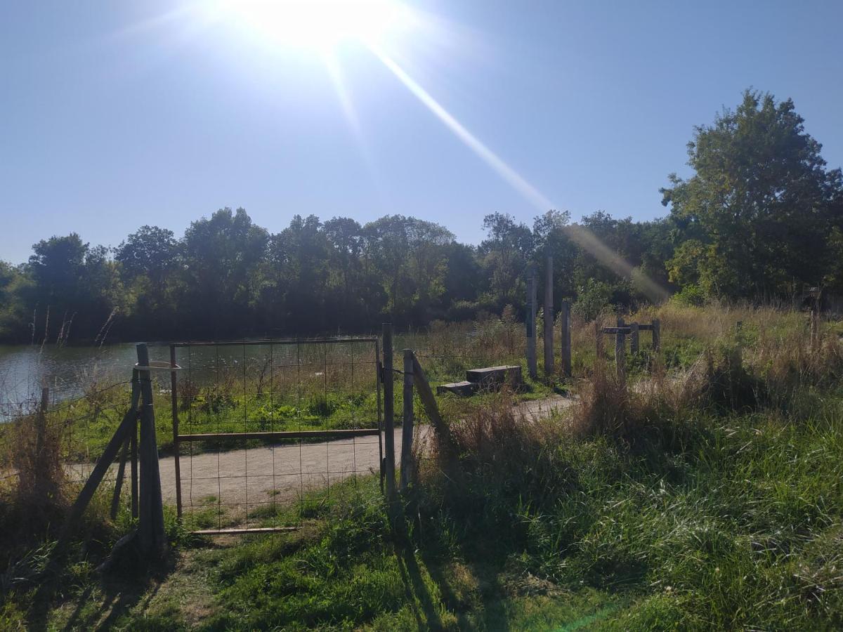 Gite La Pironniere - Piscine, Nature, Au Bord De La Riviere Montreuil-sur-Maine Екстериор снимка